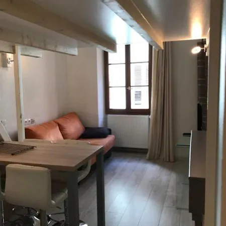 Apartment Le Semnoz - With Mezzanine In The Heart Of The Old Town Annecy